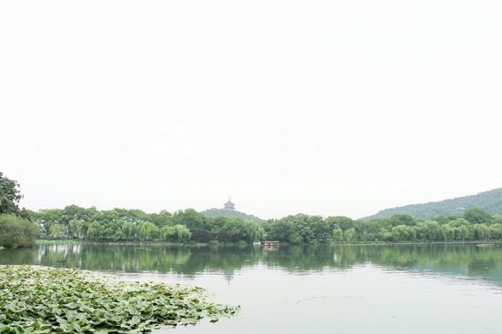 13768101_518337838351085_1672108204_n