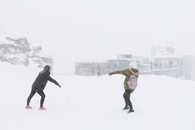 Photo 4-1-2016, 7 45 39 PM